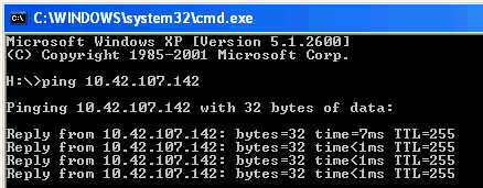 Running ping on the host